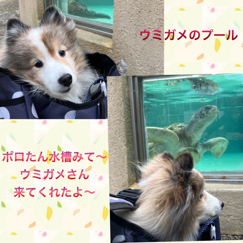 IMG_4835.jpeg
