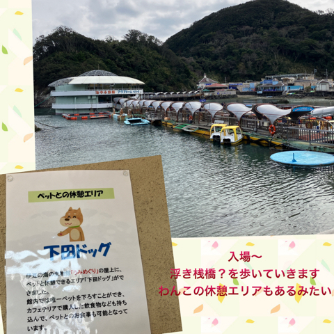 IMG_4837.jpeg