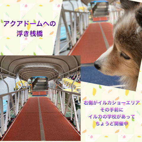 IMG_4838.jpeg