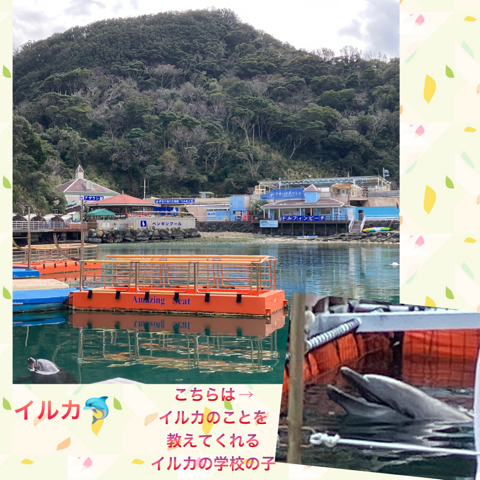 IMG_4839.jpeg