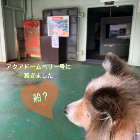 IMG_4888.jpeg