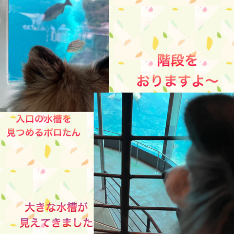 IMG_4890.jpeg