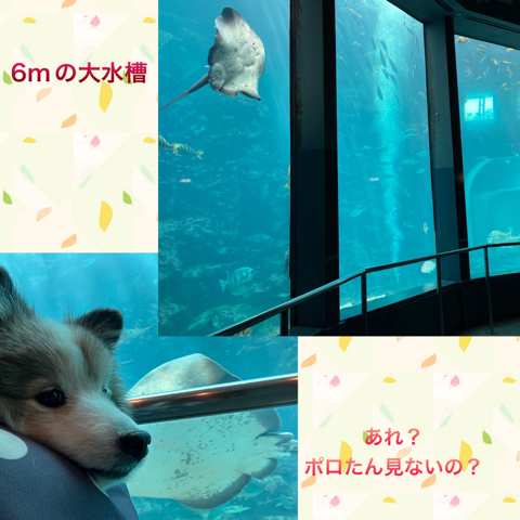 IMG_4891.jpeg