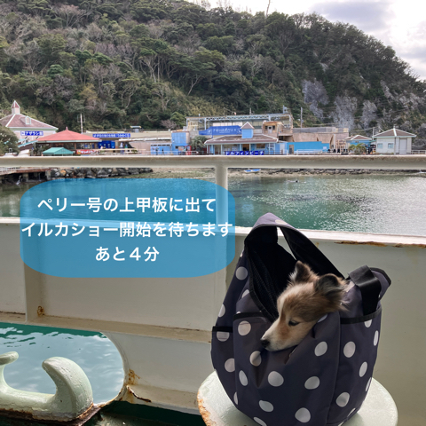 IMG_4951.jpeg