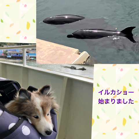 IMG_4953.jpeg