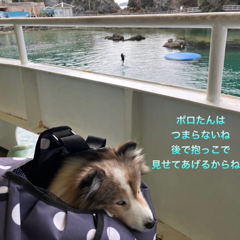 IMG_4954.jpeg