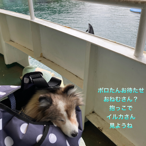 IMG_4958.jpeg