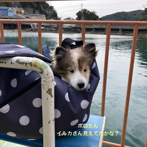 IMG_4959.jpeg