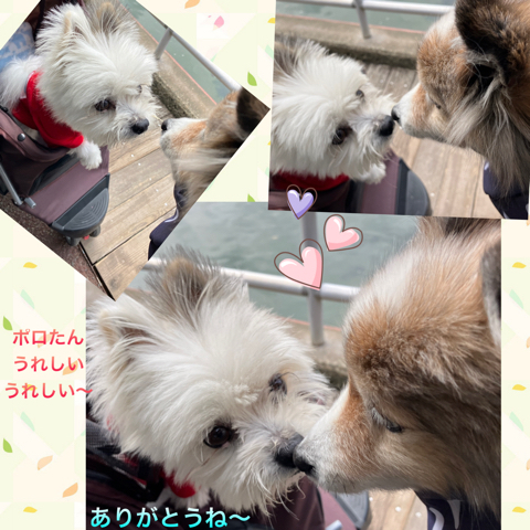 IMG_4960.jpeg