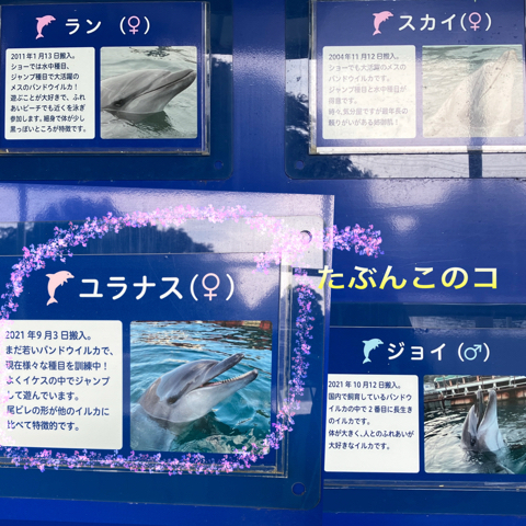 IMG_4964.jpeg