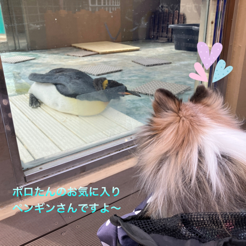 IMG_5020.jpeg