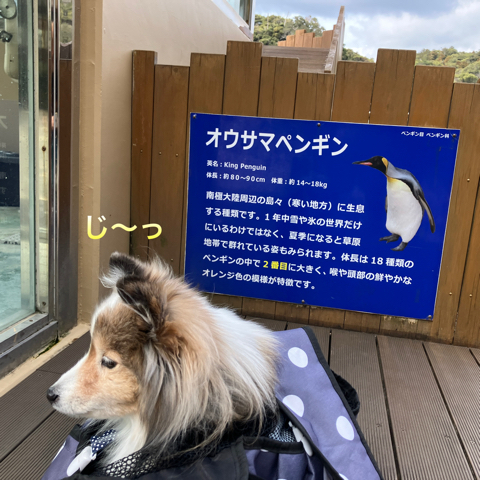 IMG_5021.jpeg