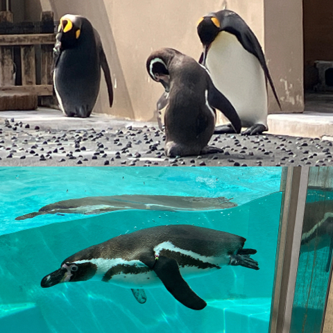 IMG_5024.jpeg