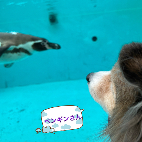 IMG_5025.jpeg