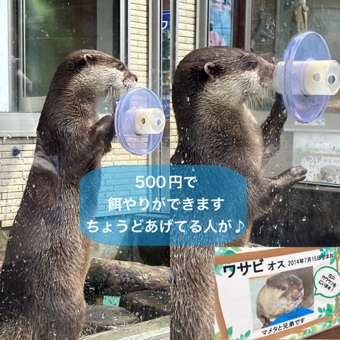 IMG_5030.jpeg