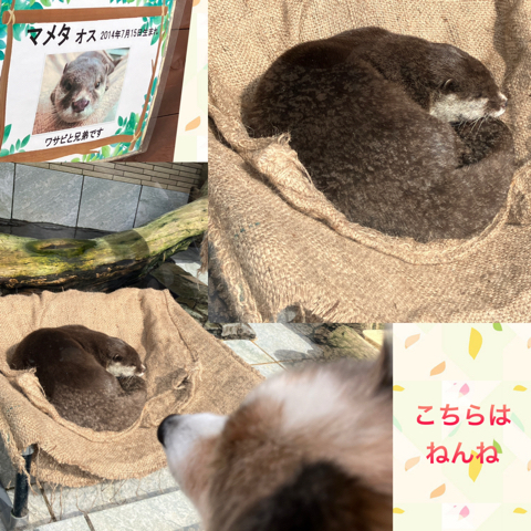IMG_5032.jpeg