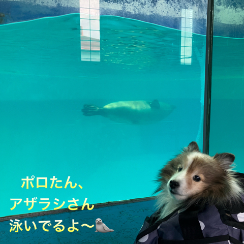 IMG_5168.jpeg