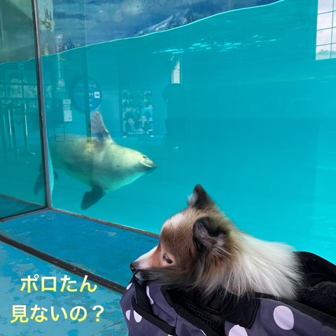IMG_5169.jpeg