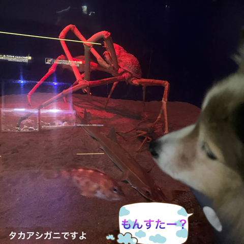IMG_5183.jpeg
