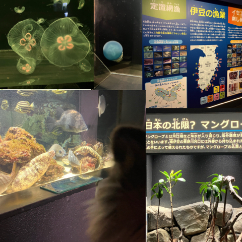 IMG_5185.jpeg