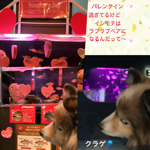 IMG_5187.jpeg