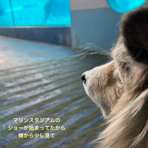 IMG_5188.jpeg