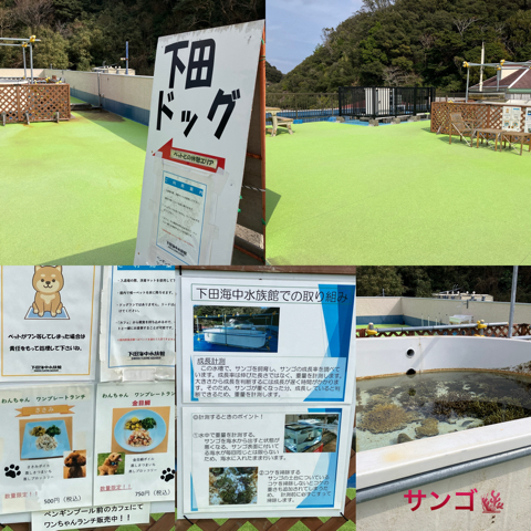 IMG_5190.jpeg