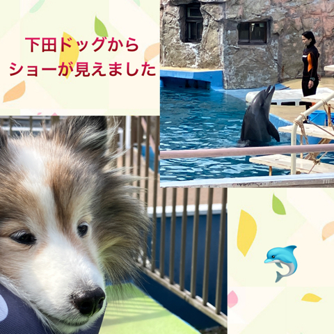 IMG_5191.jpeg