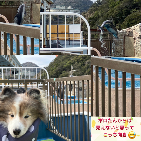 IMG_5192.jpeg