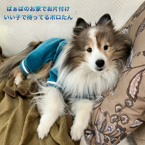 IMG_5303.jpeg