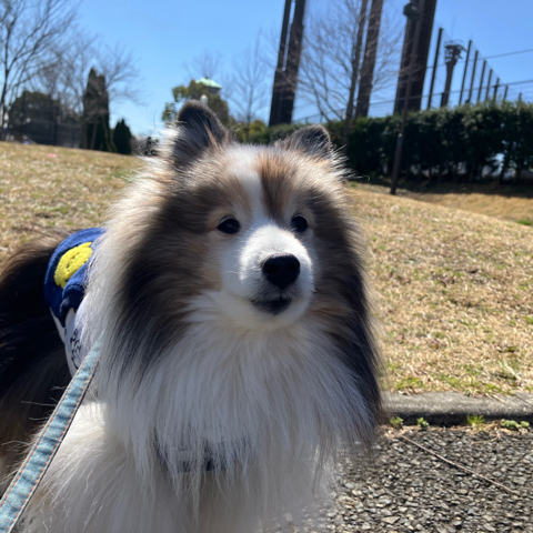 IMG_5306.jpeg