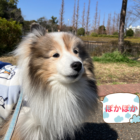 IMG_5332.jpeg