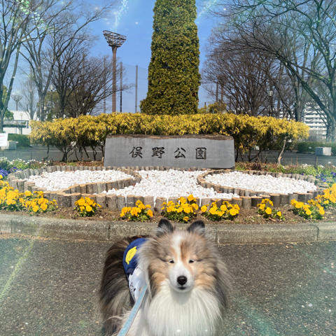 IMG_5340.jpeg