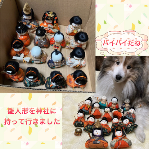 IMG_5355.jpeg
