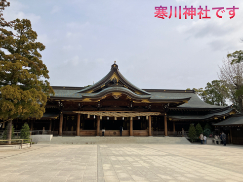 IMG_5356.jpeg