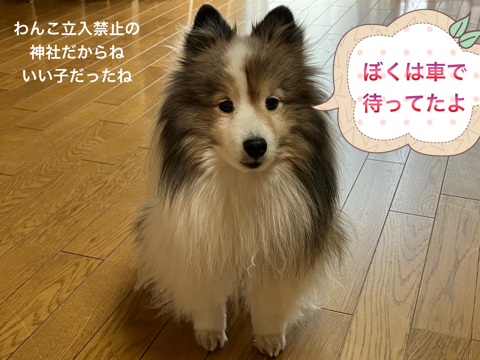 IMG_5357.jpeg