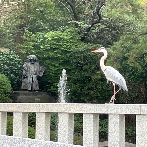 IMG_5361.jpeg