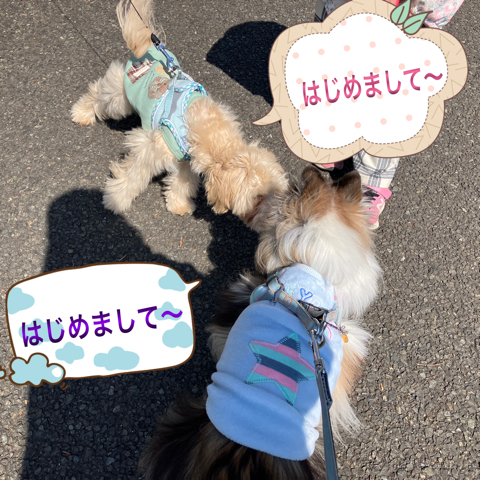 IMG_5375.jpeg