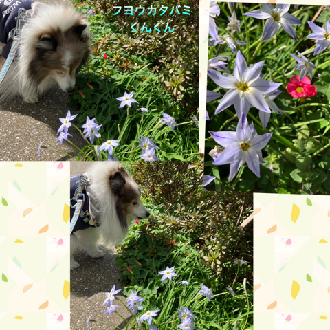 IMG_5426.jpeg
