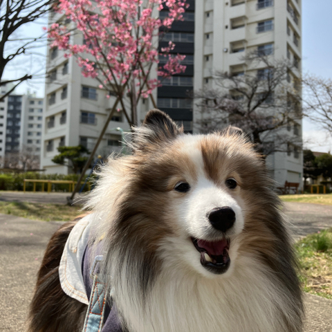 IMG_5457.jpeg