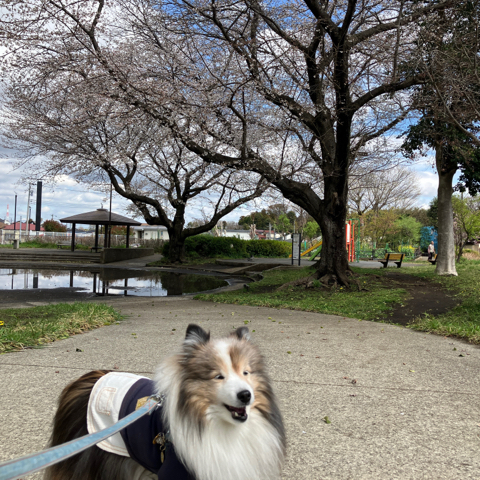 IMG_5495.jpeg