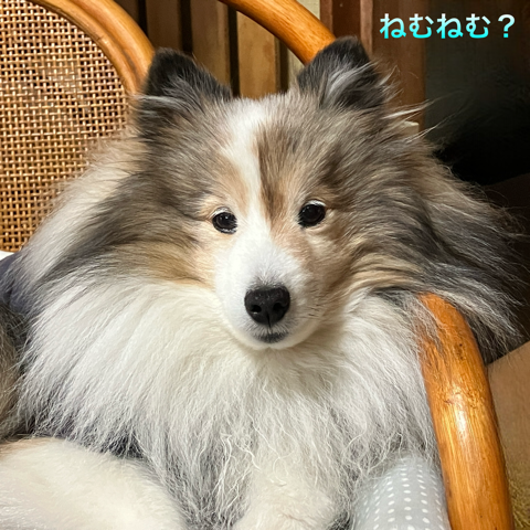 IMG_5536.png