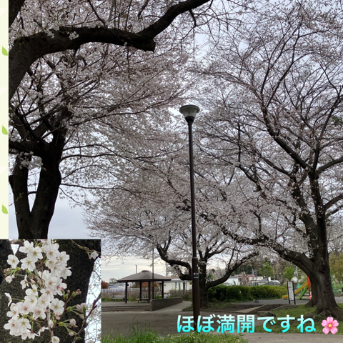 IMG_5566.jpeg