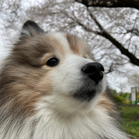 IMG_5567.jpeg
