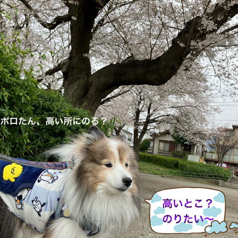 IMG_5568.jpeg
