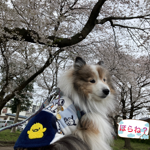 IMG_5570.jpeg