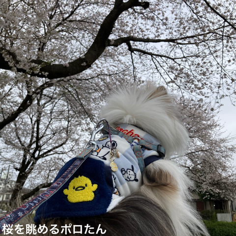 IMG_5571.jpeg