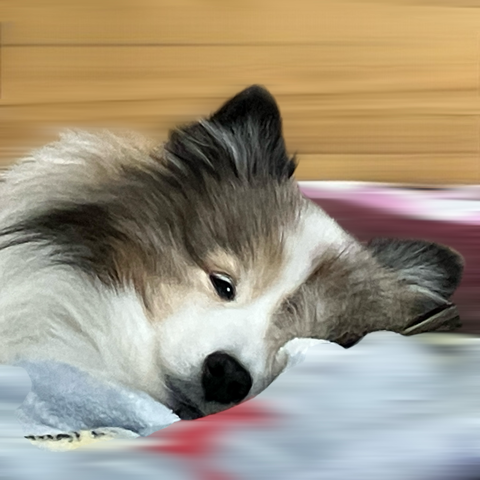 IMG_5629.png