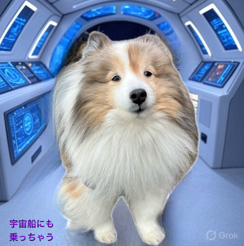 IMG_5658.png