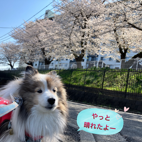 IMG_5689.jpeg